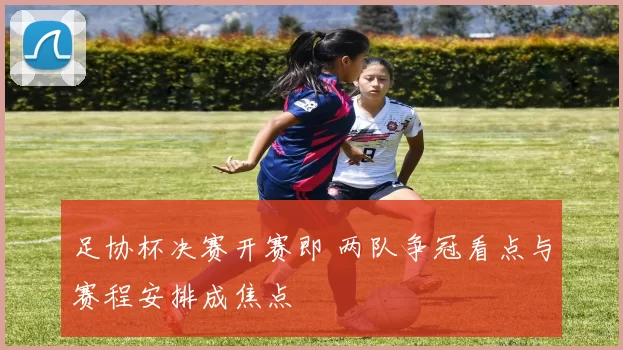 足协杯决赛开赛即 两队争冠看点与赛程安排成焦点